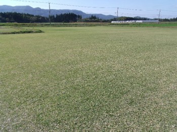 2015_1204花瀬0004